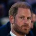 Prince Harry reacts to being called 'not a working royal'