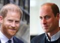 Prince Harry's 'faux royal tour' Down Under has piled further strain on his relationship with estranged brother Prince William.MEGA