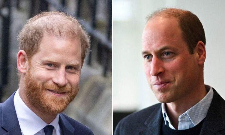 Prince Harry's 'faux royal tour' Down Under has piled further strain on his relationship with estranged brother Prince William.MEGA