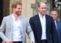 Prince William finally accepts challenges Prince Harry experienced in royal family