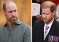 Prince William turns down Harry's plea: 'No more extra royals'