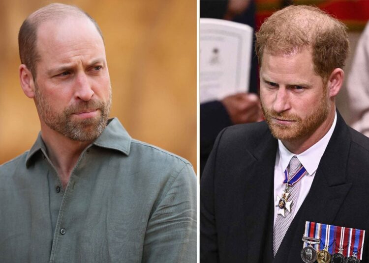 Prince William turns down Harry's plea: 'No more extra royals'