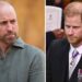 Prince William turns down Harry's plea: 'No more extra royals'