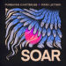 Purbayan Chatterjee & Mark Lettieri Soar cover artwork. An illustration of bird feathers.