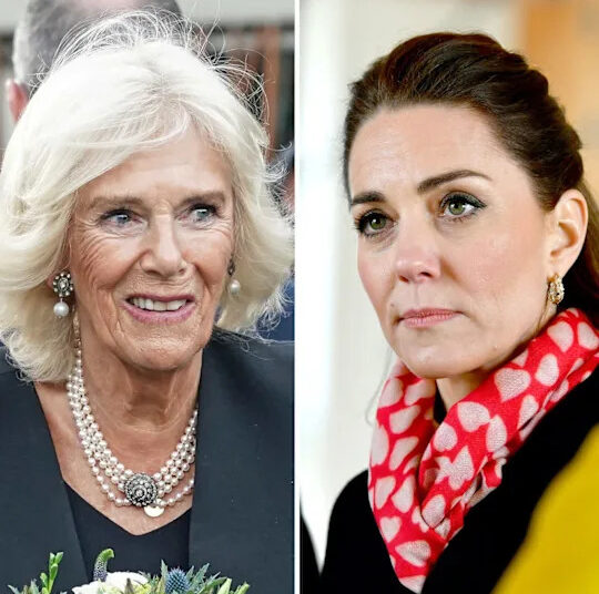 Queen Camilla Reportedly Told Kate Middleton She 'Could Not Wear' Blue For Public Appearances