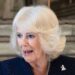 Queen Camilla meets with Sex and the City star before awkward mix-up - Celebrity News - Entertainment