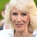 Queen Camilla's secret US mission that changed everything | Royal | News