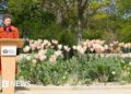 Queen Elizabeth II garden opens to the public in London