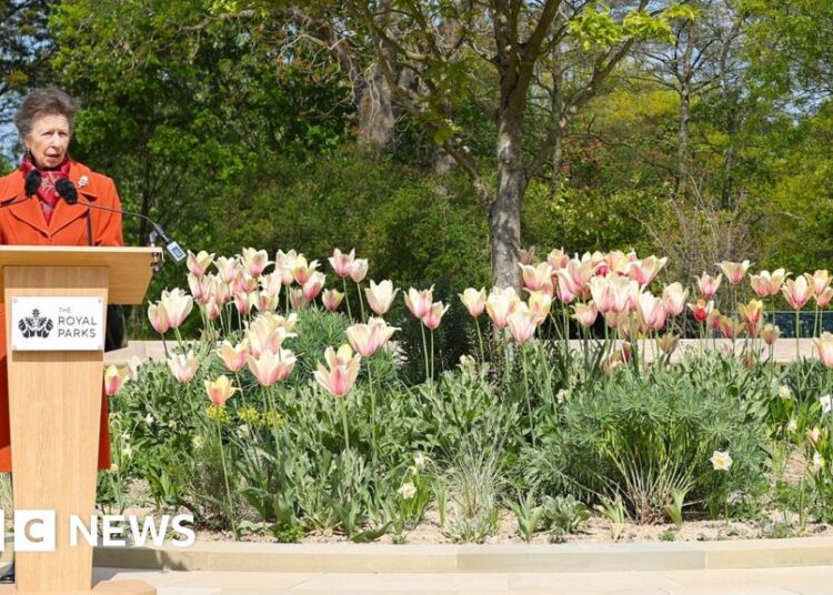 Queen Elizabeth II garden opens to the public in London