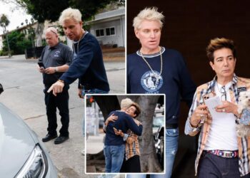 Reality TV stars file complaint in wild road-rage incident