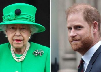 Queen Elizabeth's true feelings behind Prince Harry's decision to leave the royal family have been documented in a new book. MEGA