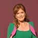 Sarah Ferguson 'says no to interview' on show that triggered Andrew's downfall | Royal | News