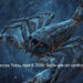 Scorpio Horoscope Today, April 8, 2026: Settle one old conflict politely