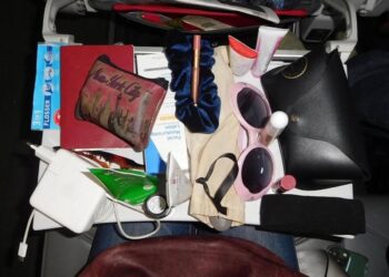 Image may contain Accessories Bag and Handbag