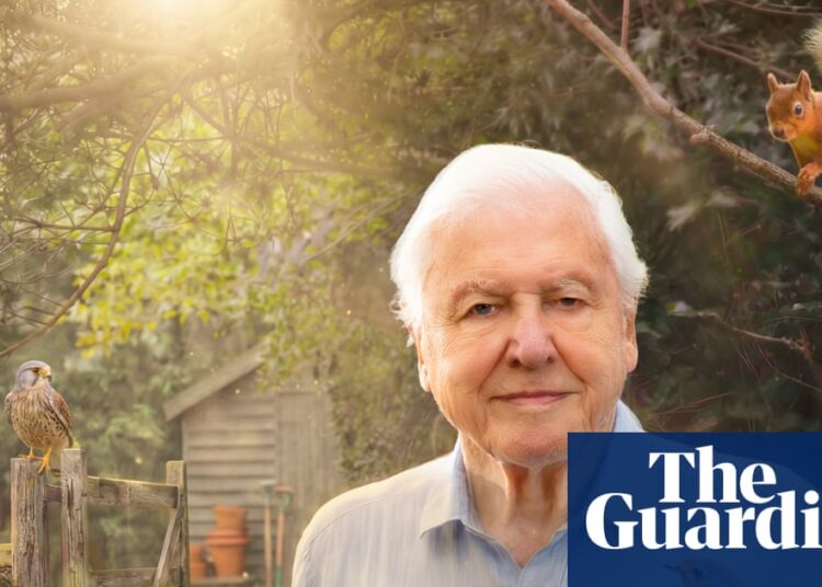 TV tonight: David Attenborough’s sparkling new series before he turns 100 | Television & radio