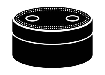 voice recognition assistant