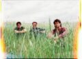 The Moss Deliver Nine Songs of Pure Freedom on New Album 'Big Blue Moon'