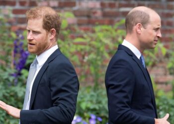 The big royal wedding where Prince William and Harry could finally meet again | Royal | News