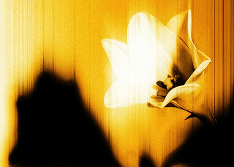 U2 Release New EP Easter Lily