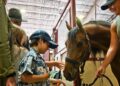 Weekend roundup: Area events include live music, horse show, farmers markets and more | News