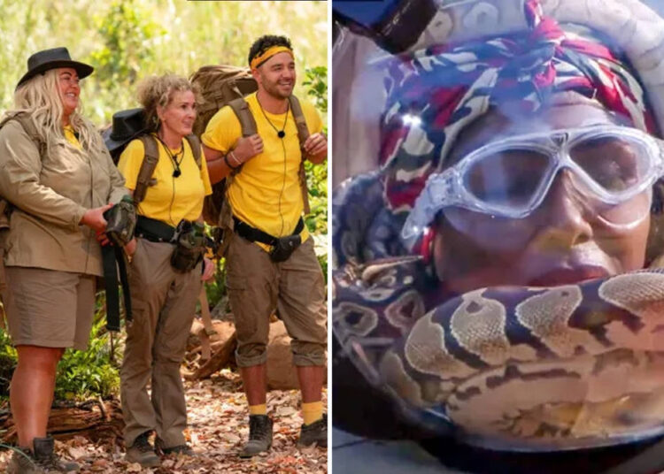 When was I'm A Celeb South Africa 2026 pre-recorded?