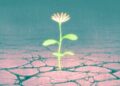 Why you should be hopeful