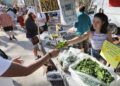 Wisconsin's future Michelin stars, a new poke spot and murder mysteries | Entertainment