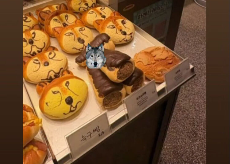 Neukgu-themed buns are on sale at a bakery in Daejeon. Neukgu is a wolf that briefly escaped from a zoo. [SCREEN CAPTURE]