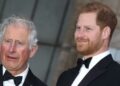 Prince Harry desperate to be with Charles over summer so he can pay for son’s security