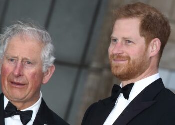 Prince Harry desperate to be with Charles over summer so he can pay for son’s security