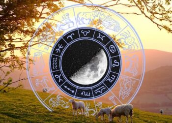Your horoscope for the week ahead: Romance and mischief will be in the air