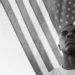 10 New Songs Out Today to Listen To: Vince Staples, Kelsey Lu, and More