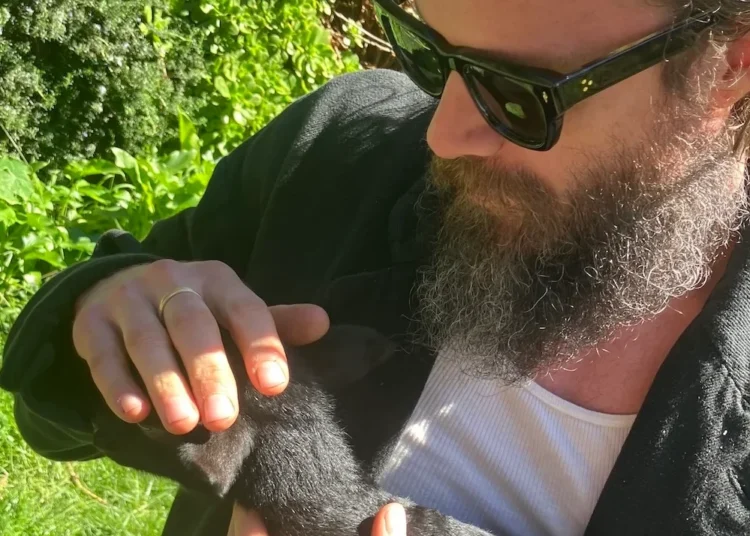 11 New Songs Out Today to Listen To: Father John Misty, Boards of Canada, and More
