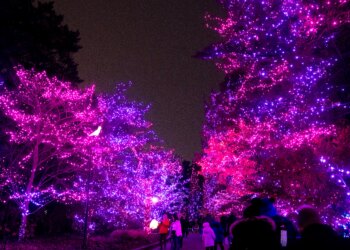 12 of Ohio’s most unusual festivals to check out in 2026