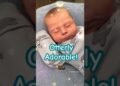Cozy Baby Time! #reborn #cute #cutebaby #cuteanimals #newborn #viral #viralshorts #art #artist #toys