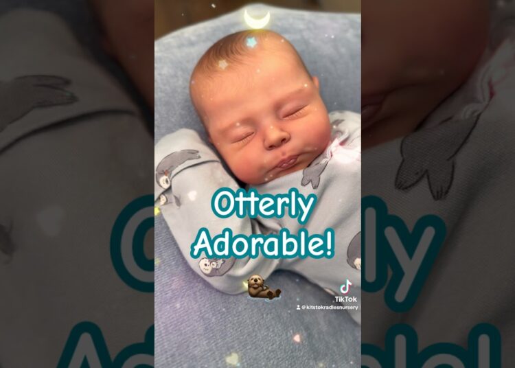 Cozy Baby Time! #reborn #cute #cutebaby #cuteanimals #newborn #viral #viralshorts #art #artist #toys