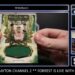 SICK CASES! 12 Boxes of 2025 WWE Royalty for RbiCru7