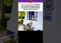 ​This 90 Year Old Grandma Turned Her Village Into An Art Gallery! 🎨🌸 #czech #usa #foryou #shorts