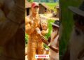Duniya ka sabse anokha John Cena Statue! 😱 #johncena #woodcarving #artist