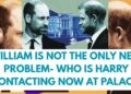 WILLIAM -HARRY & HIS NEW ROYAL CONNECTION LATEST #royal #meghan #princeharry