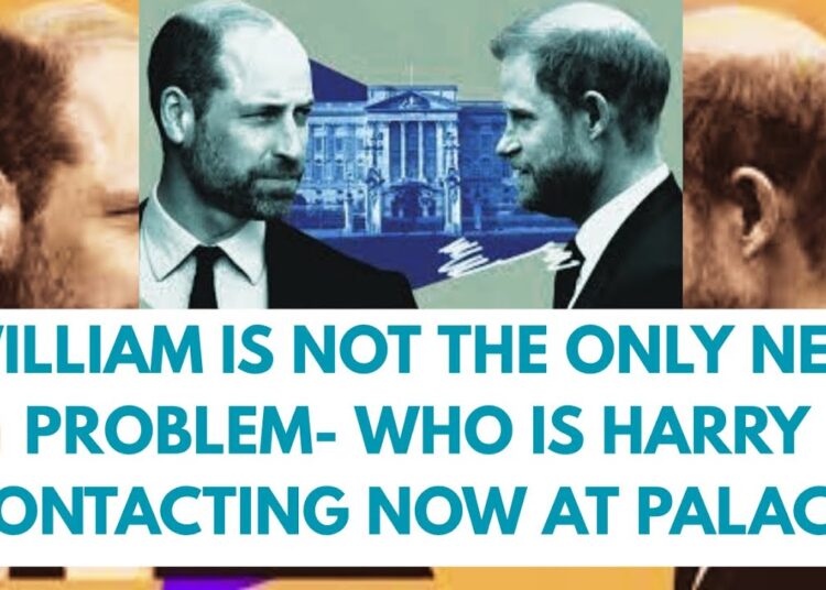 WILLIAM -HARRY & HIS NEW ROYAL CONNECTION LATEST #royal #meghan #princeharry