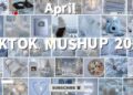 Tiktok Mashup 2026 💕April💕 – If you know These Songs your a genius! 🧠❤️