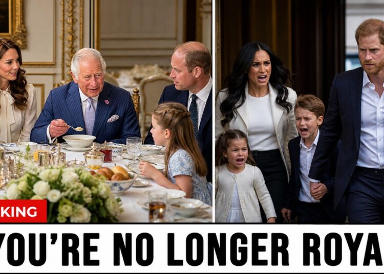 Royal Family Makes Final Move — The Truth Behind Archie & Lilibet Revealed