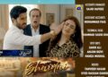 Shaidai Epi 7 8 9 New Promo Teaser Prediction By New Gossips | Shaidai Epi 6 Review | Shaidai Drama