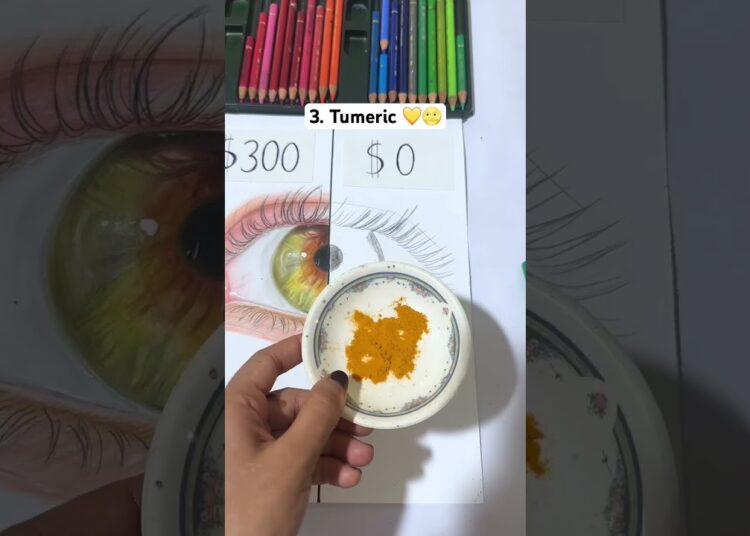 ✨I tried drawing with 0 Dollars Art Supplies …😳 #art