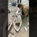 The process of creating sculpture art#sculpture #sculptureart #art #diy #artist