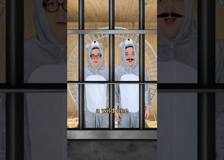 Pet mouse meets wild mouse #comedy #music #parody of Wild Ones by Flo Rida ft. Sia