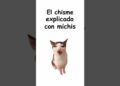 El chisme explicado con michis