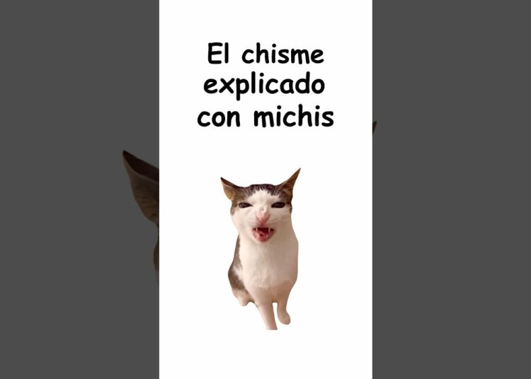 El chisme explicado con michis