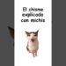El chisme explicado con michis